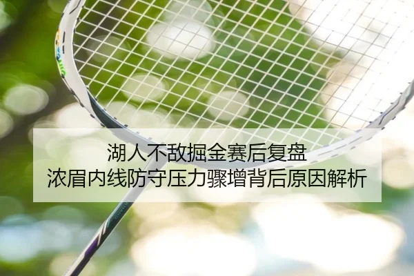 湖人不敌掘金赛后复盘 浓眉内线防守压力骤增背后原因解析